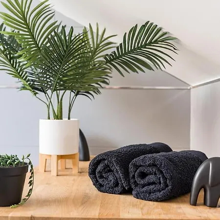Bienvenue A Jungle Chic